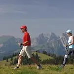 Alphorn Gstaad
