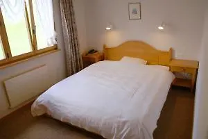 Alphorn 3*