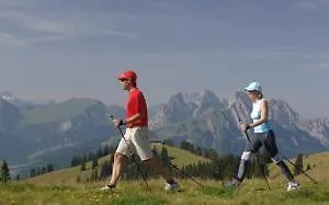 Alphorn Гштад