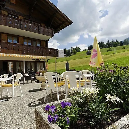 Alphorn Gstaad