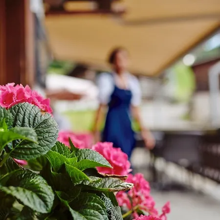 Alphorn Hotel